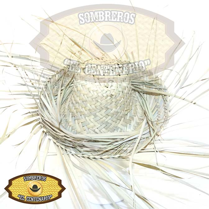 Anicero Costeño