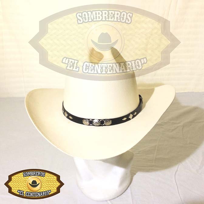 Lona  Americana