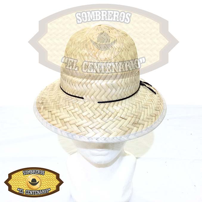 Masallo Liso N. Casco de Niño