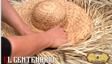 Recortado